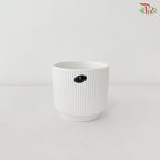 TX-JW7450000 White Pot (With Size Option)