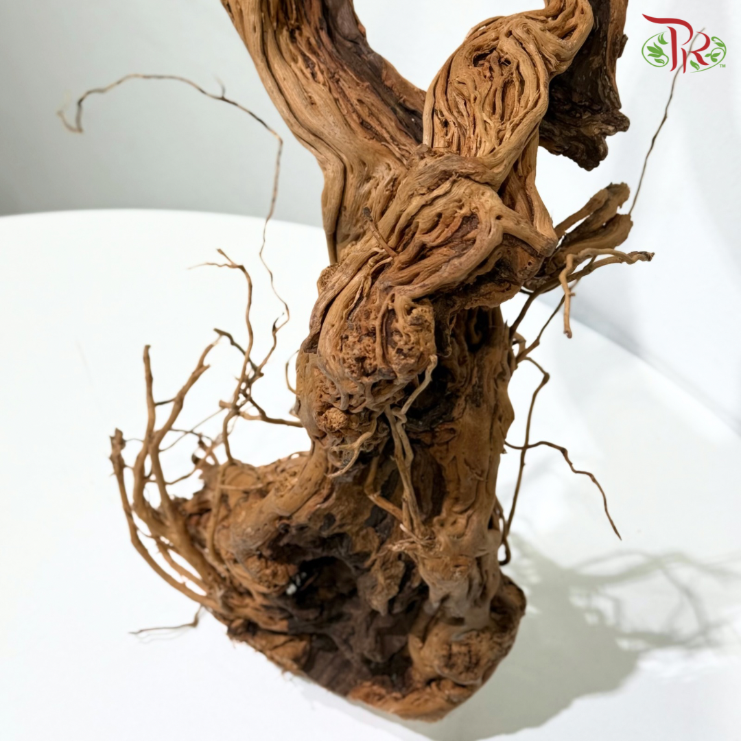 Ma Hua Teng Wood 《麻花腾》 1kg