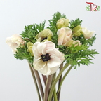 Anemone Hupehensis