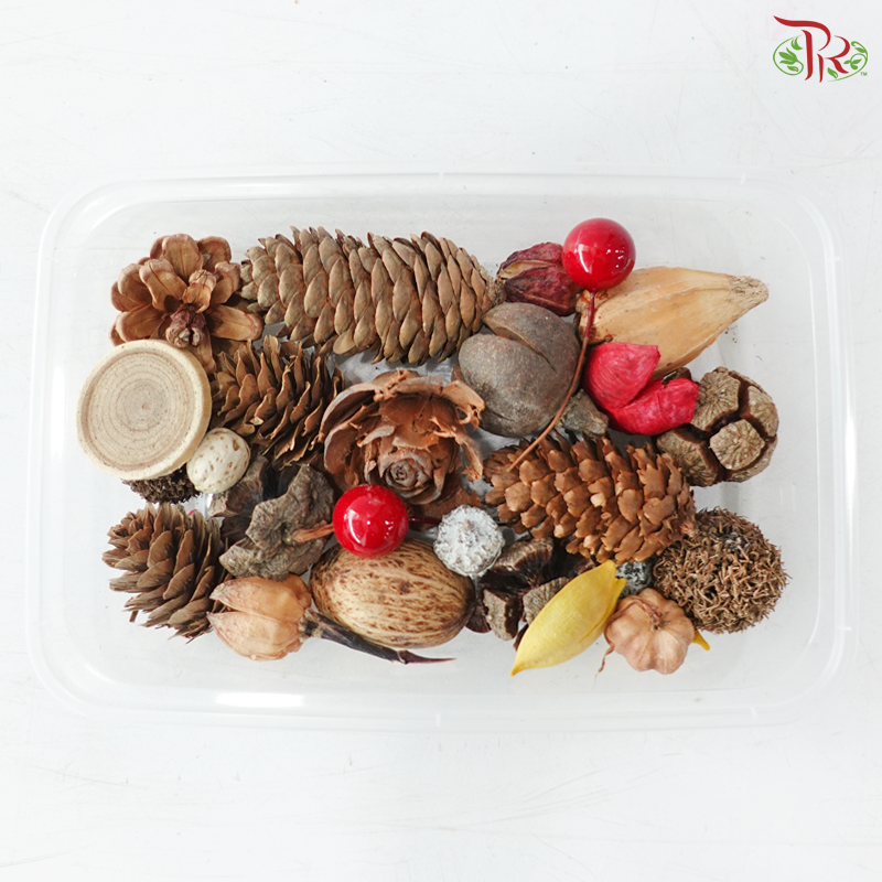 Apricot - Coloured Died Fruit Mix (Random Mix)