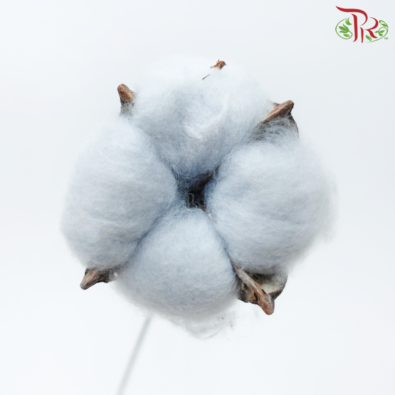 Artificial Cotton Flower