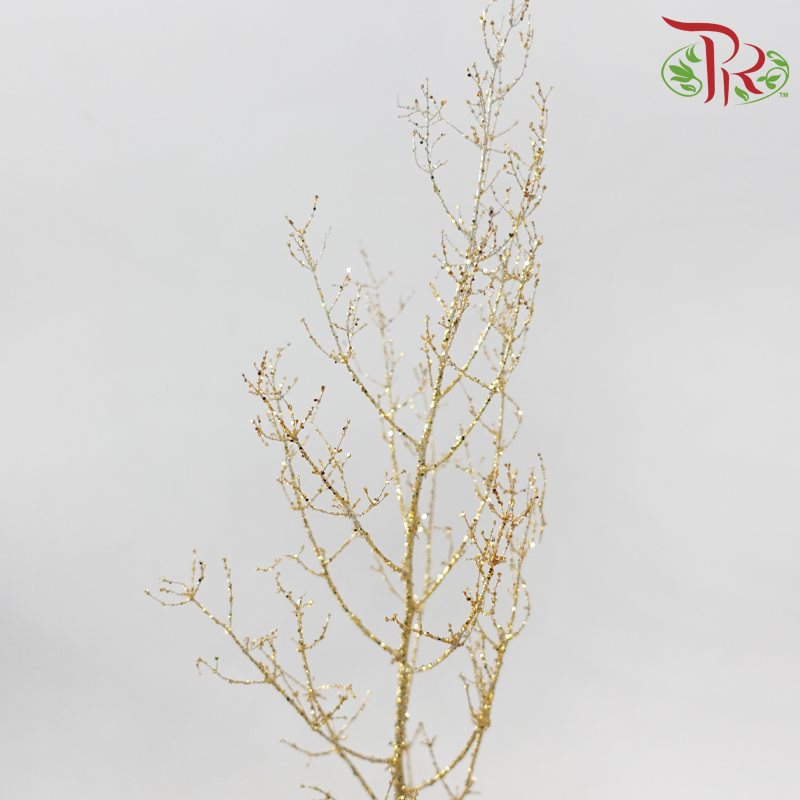 Asparagus Myriocladus with Glitter