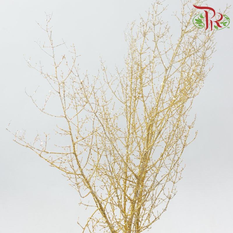 Asparagus Myriocladus with Glitter
