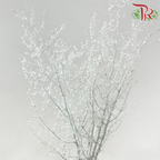 Asparagus Myriocladus with Glitter