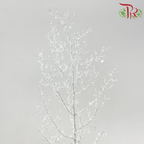 Asparagus Myriocladus with Glitter
