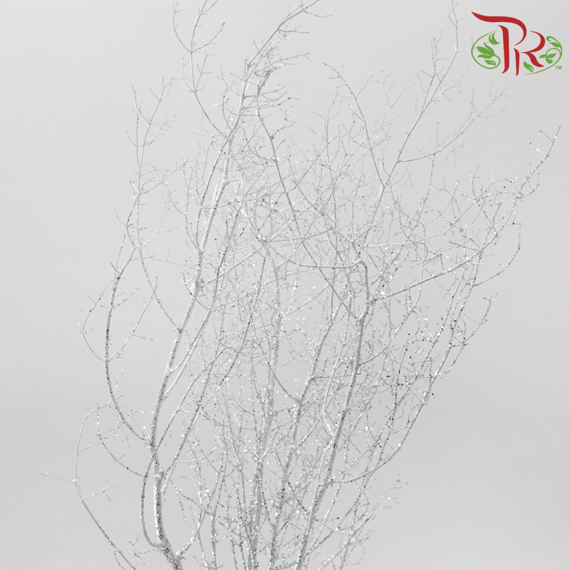 Asparagus Myriocladus with Glitter