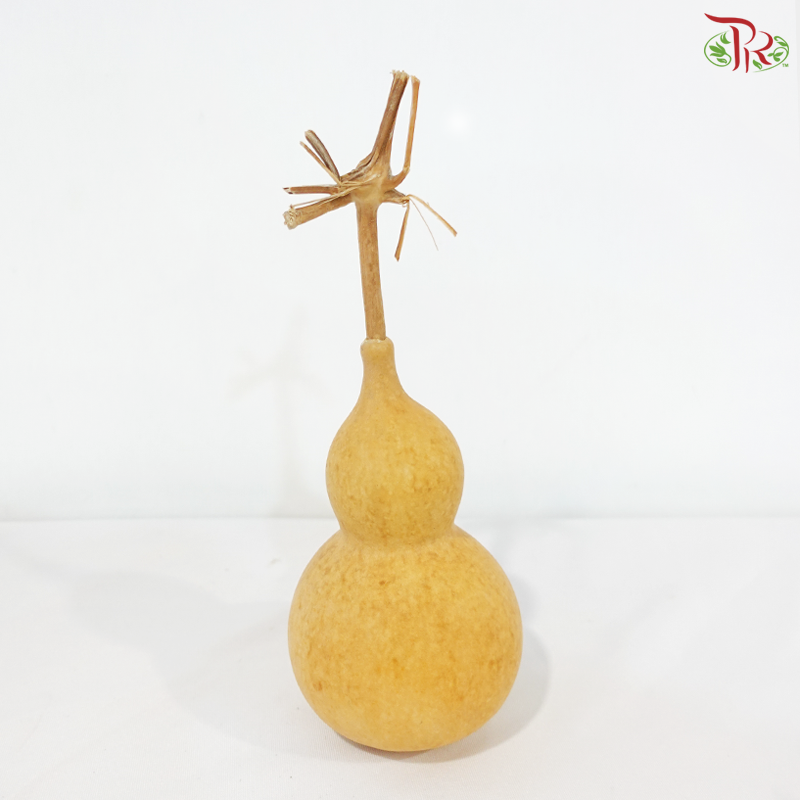 Auspicious Dragon-Head Gourd Hulu《龙头葫芦》（Per Unit)