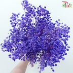 Preserved Baby's Breath