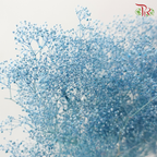 Preserved Baby's Breath Mini