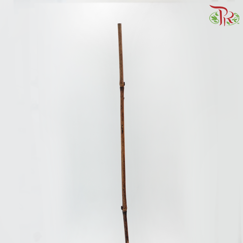 TB1.7M - Brown Bamboo