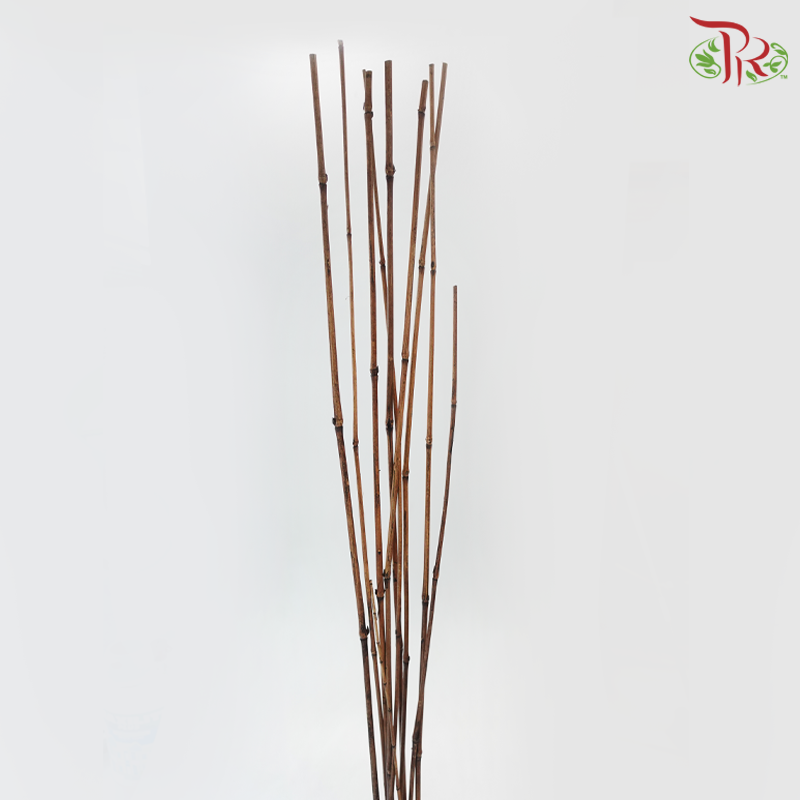 TB1.7M - Brown Bamboo