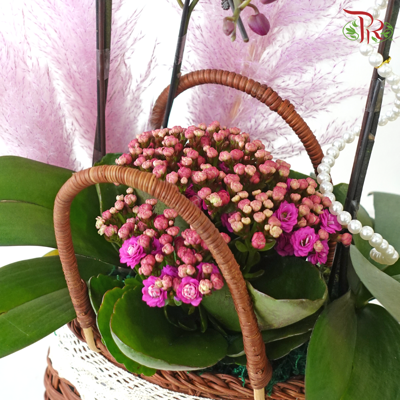 【RAYA 2026】Raya Delight