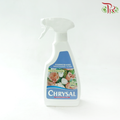 Chrysal Glory