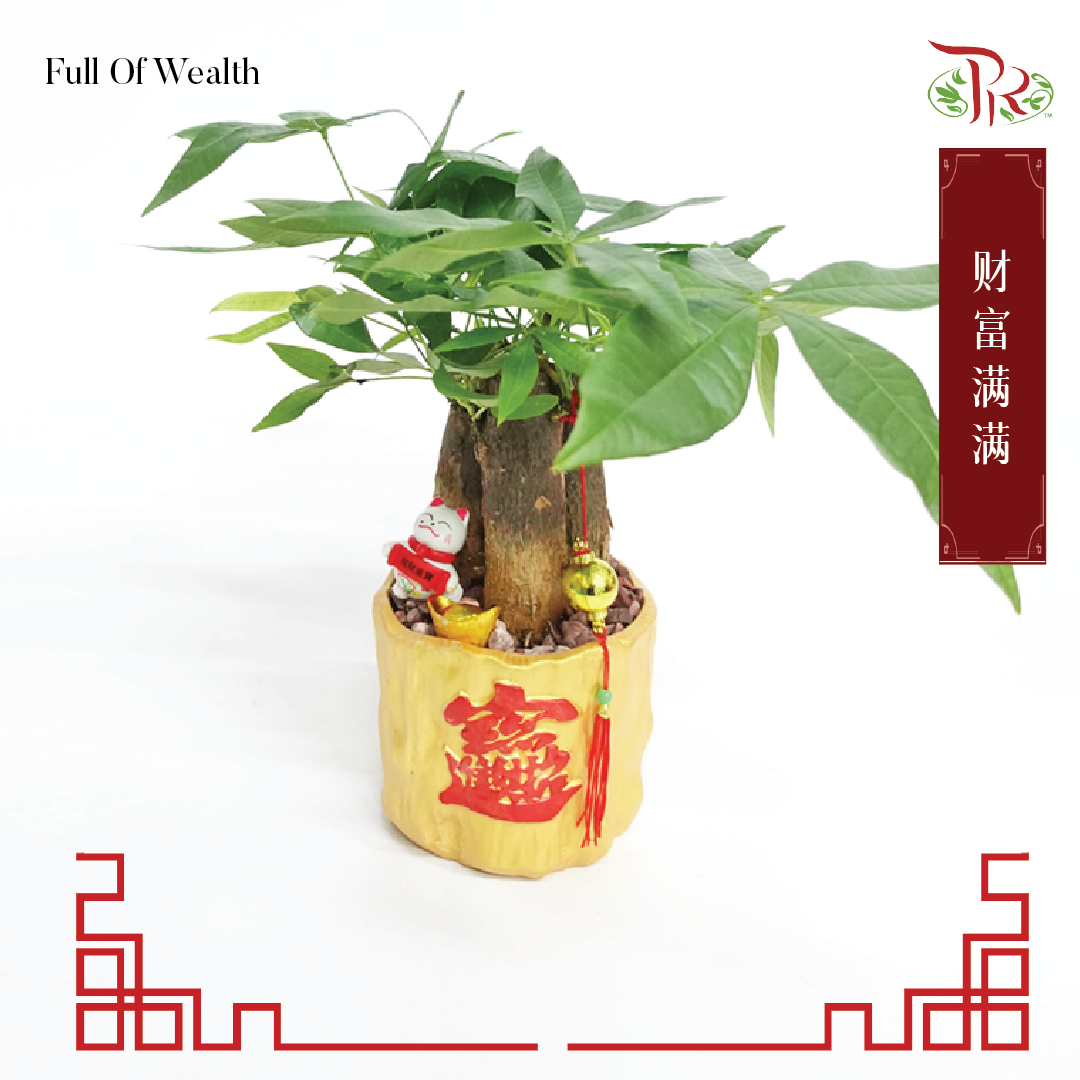 CNY- Full Of Wealth 财富满满 - Pudu Ria Florist