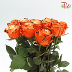 Ceres Rose Dyed Mondial