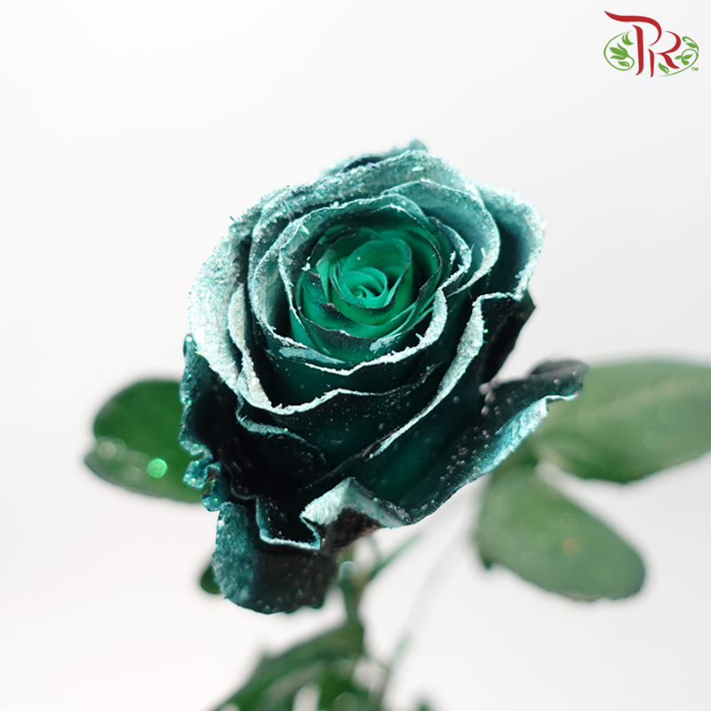 Ceres Rose - Dyed Xmas (Randomly Select) - Pudu Ria Florist