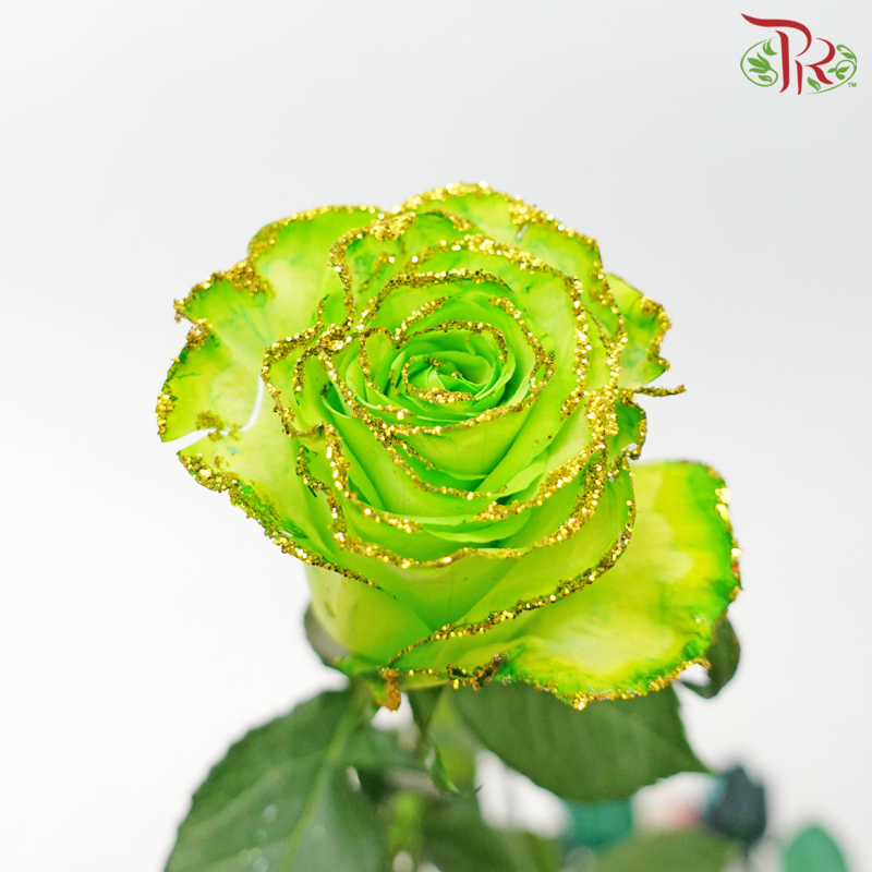 Ceres Rose - Dyed Xmas (Randomly Select) - Pudu Ria Florist