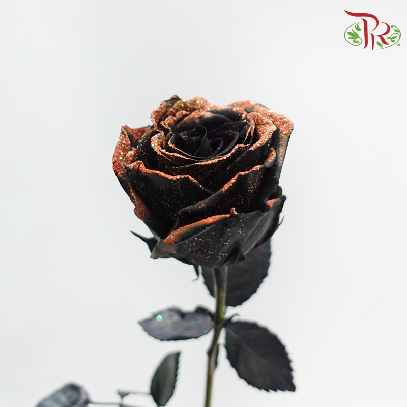 Ceres Rose Dyed Mondial
