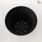 BI-RD-150 Polypropylene Pot