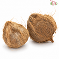 Coconut Fruit