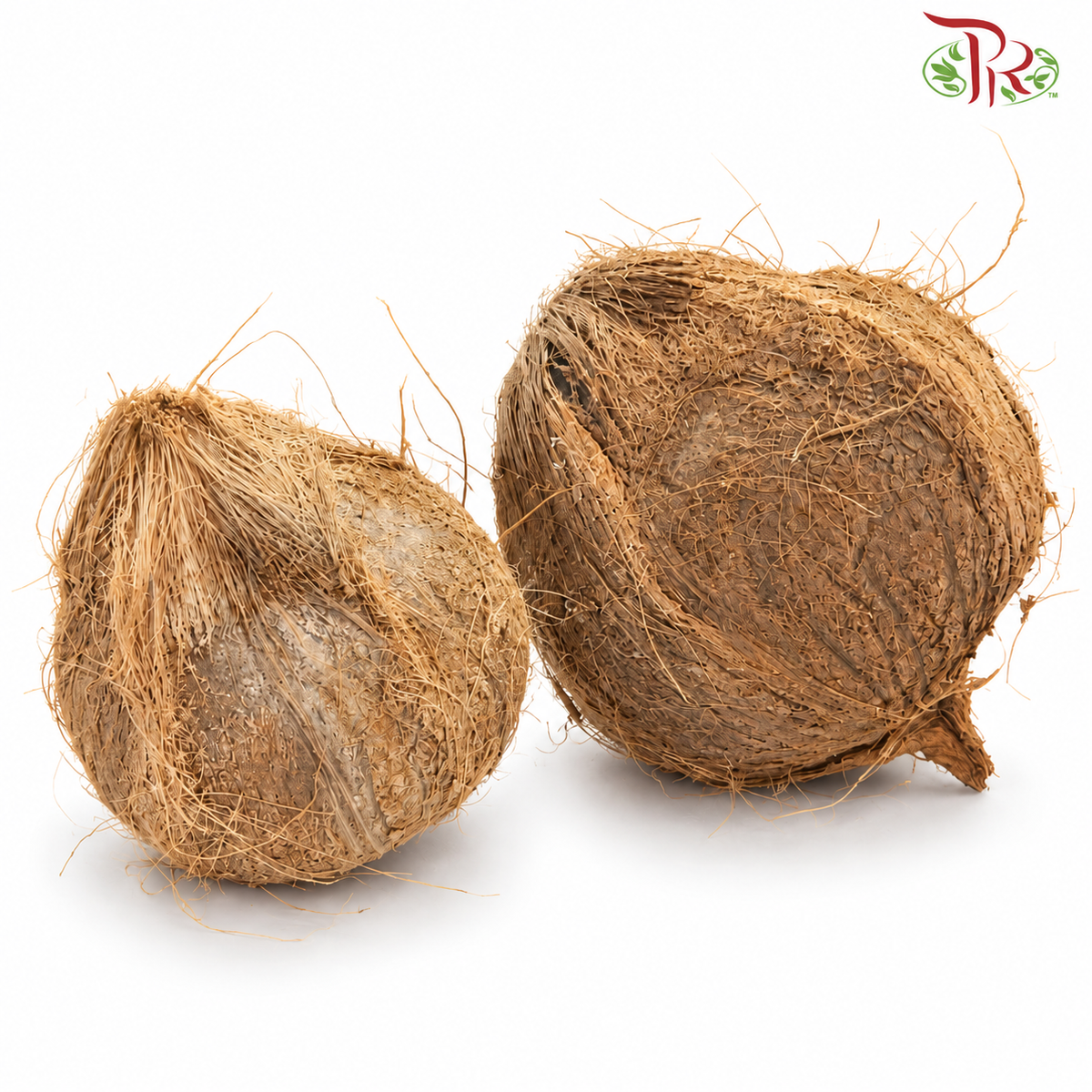 Coconut Fruit