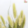 Crystal Bunny Tail
