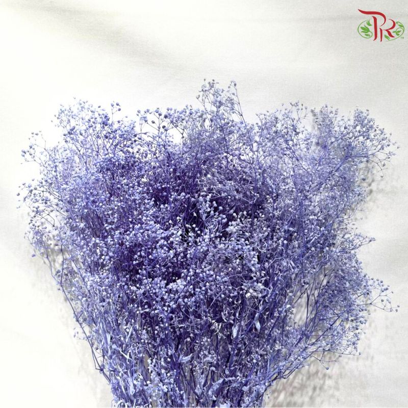 Preserved Million Stars