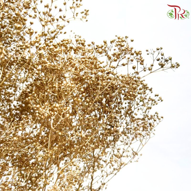 Preserved Million Stars