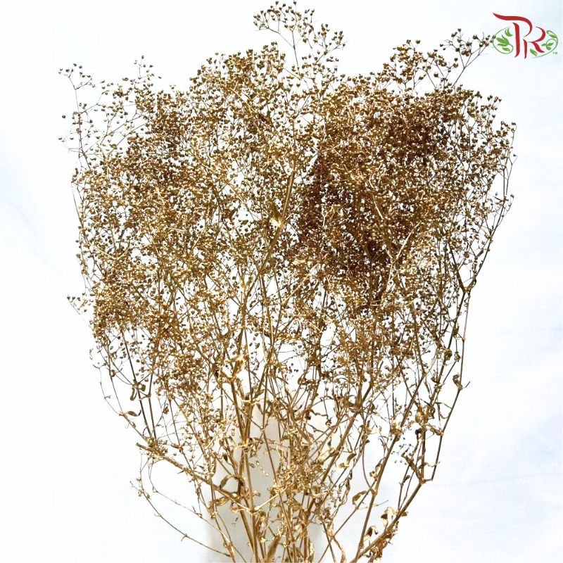 Preserved Million Stars