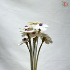 Dry Violet