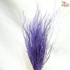 Dry Feather Grass