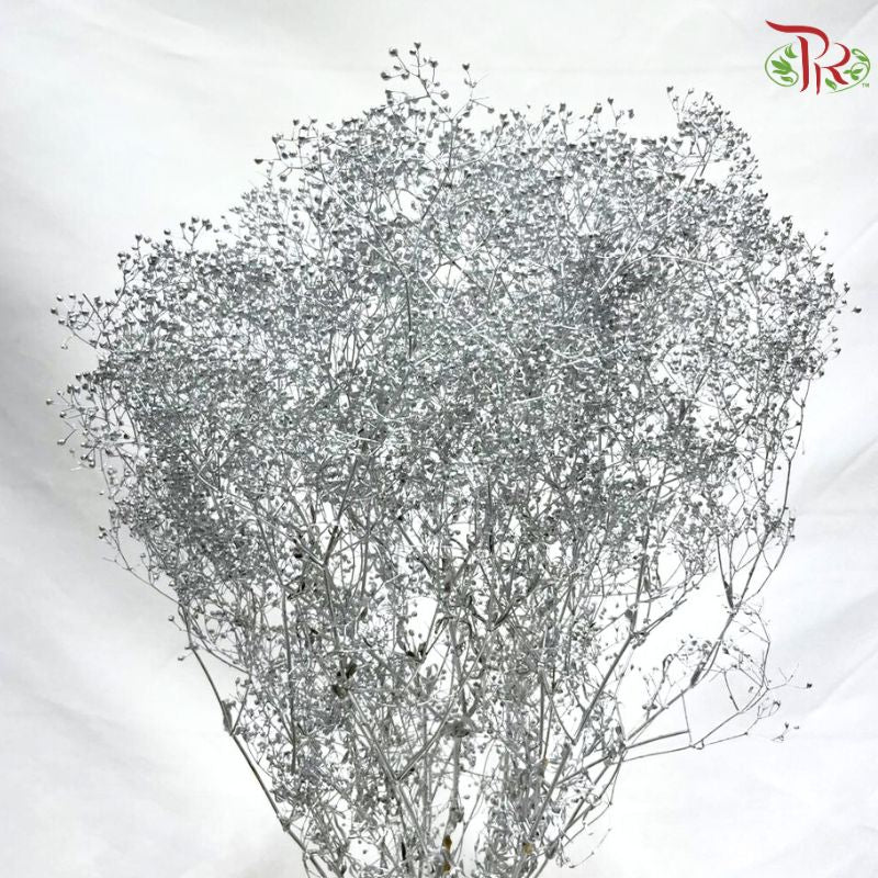 Preserved Million Stars