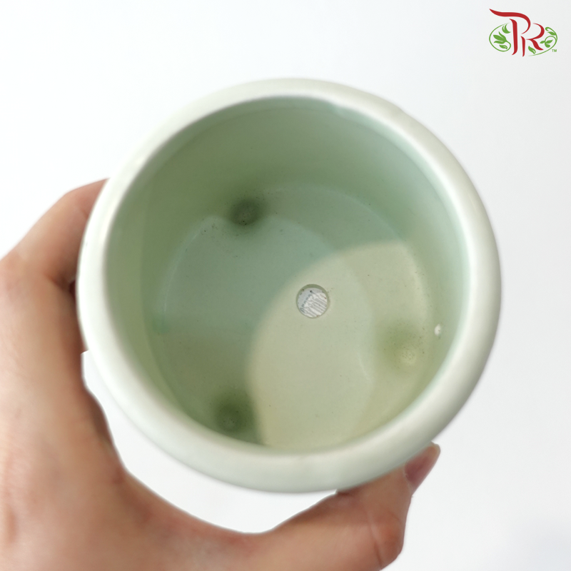 DS-1020-2C Asst Pot (With Color Options)