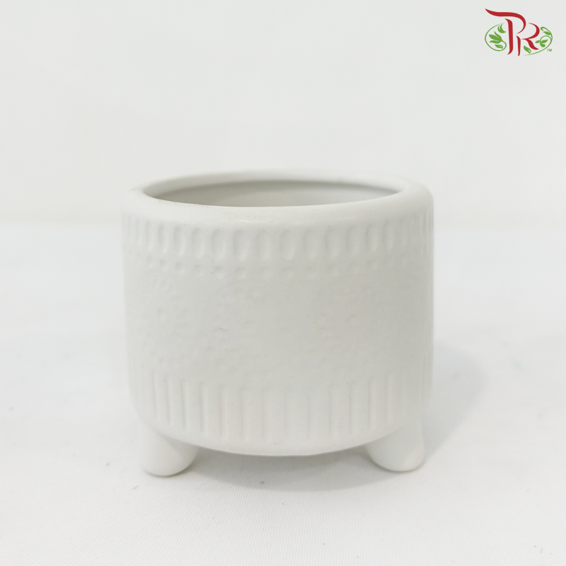 DS-1020-2C Asst Pot (With Color Options)