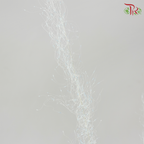 Dry Bleached Muhly Grass