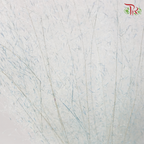 Dry Bleached Muhly Grass