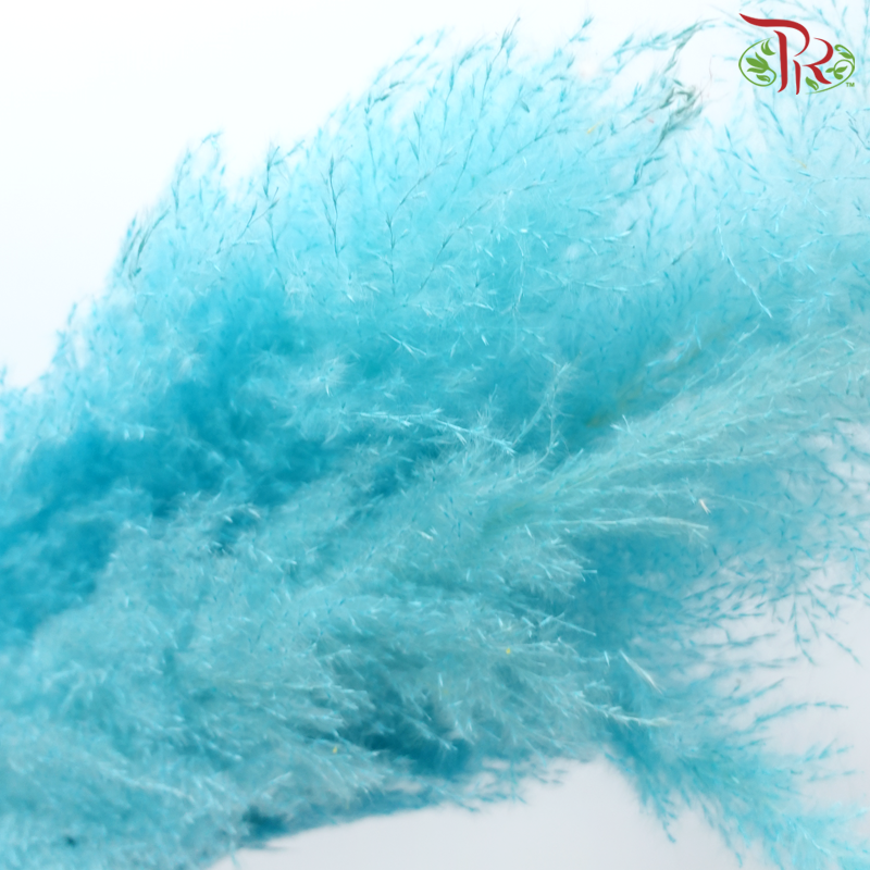 Dry Pampas (135cm)