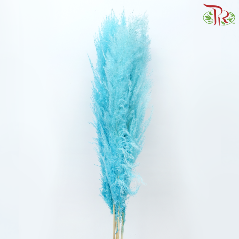 Dry Pampas (135cm)