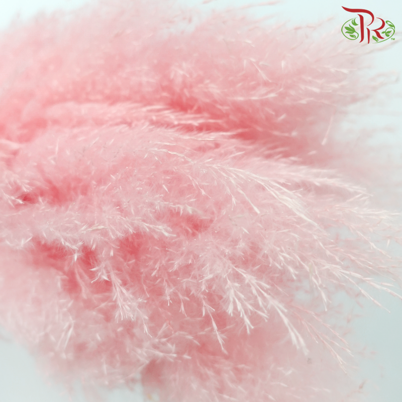 Dry Pampas (135cm)