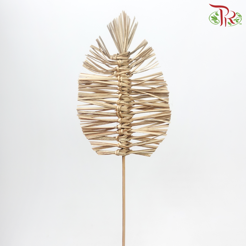 Dry Bamboo Boho Cana Leaf