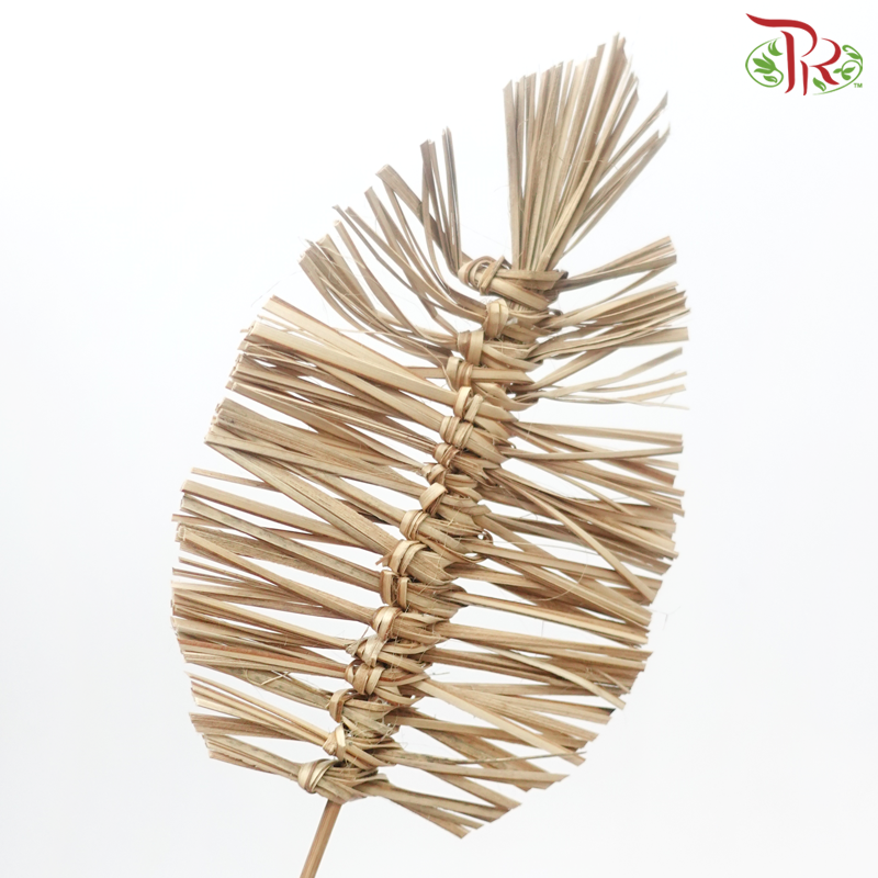 Dry Bamboo Boho Cana Leaf