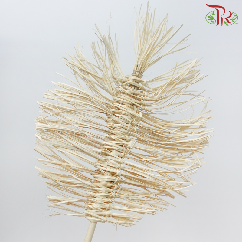 Dry Bamboo Boho Cana Leaf