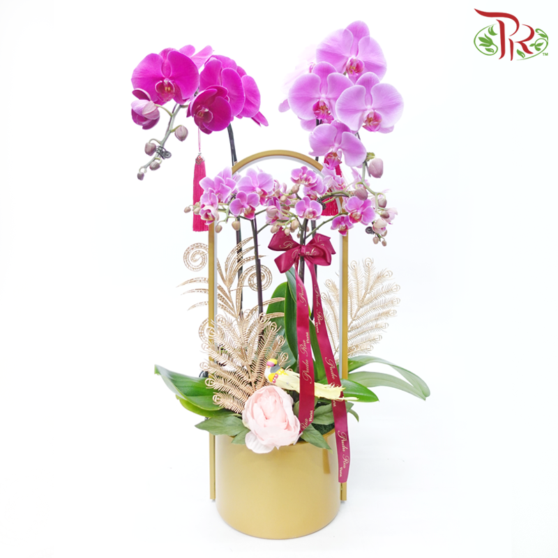 Bliss Orchid Ensemble