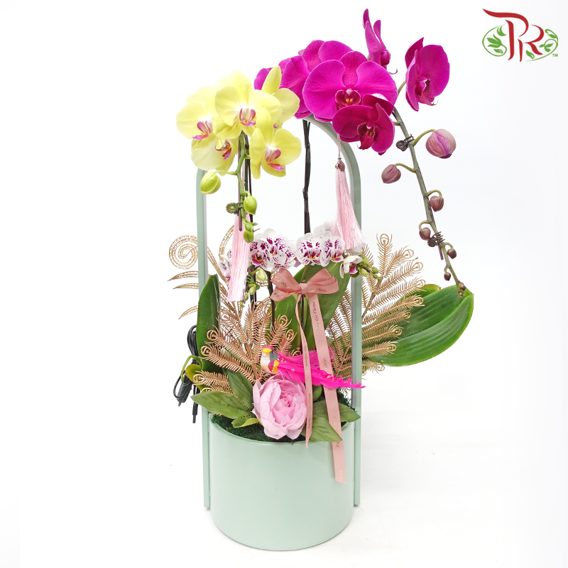 Bliss Orchid Ensemble