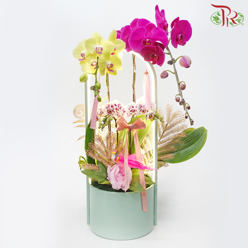 Bliss Orchid Ensemble