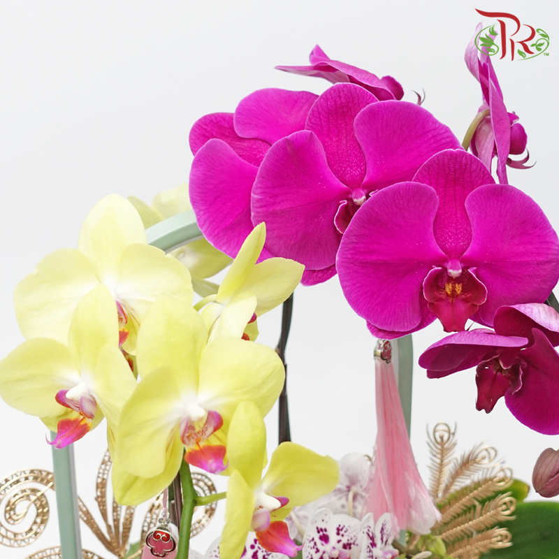 Bliss Orchid Ensemble