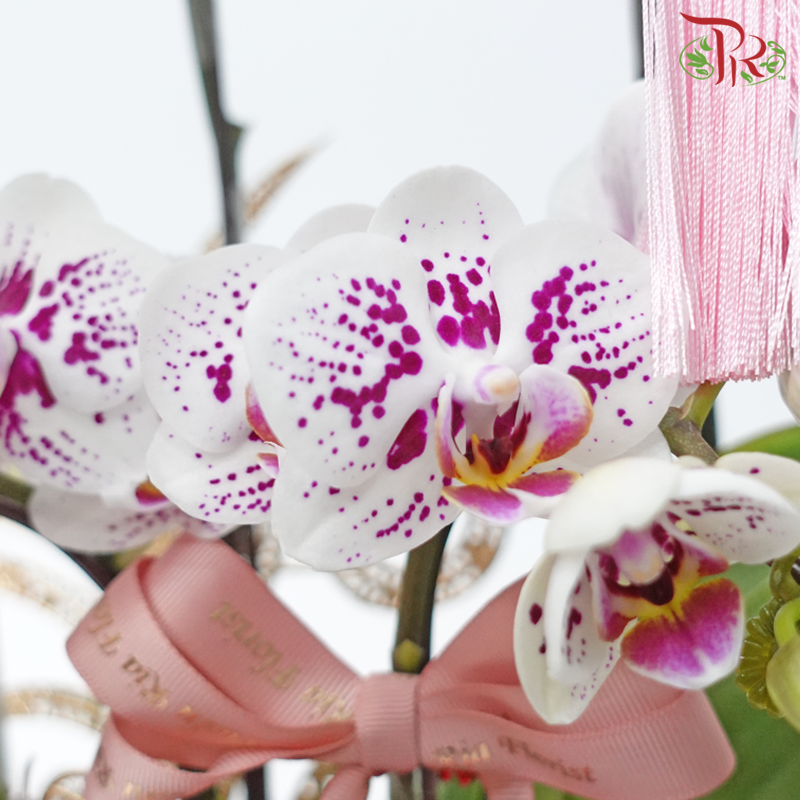 Bliss Orchid Ensemble