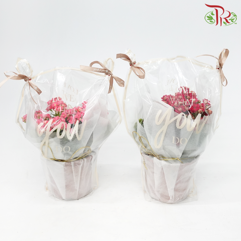 "The Gorgeous Woman"  (Random Choose Flower Color)