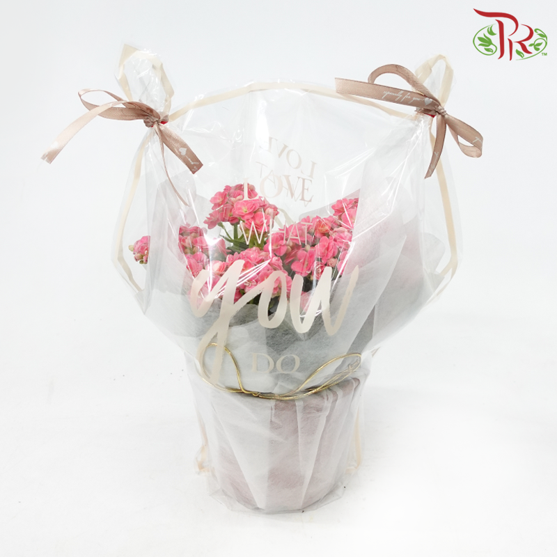 【Gift Series】"The Gorgeous Woman" (Random Choose Flower Colour)-Pudu Ria Florist-prflorist.com.my