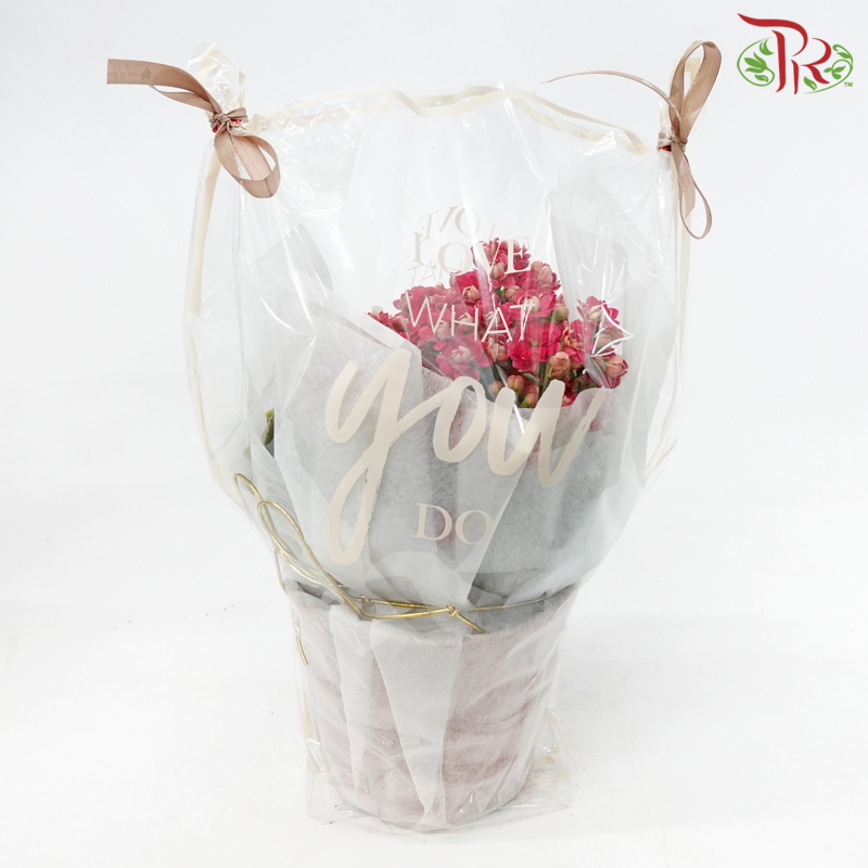 "The Gorgeous Woman"  (Random Choose Flower Color)